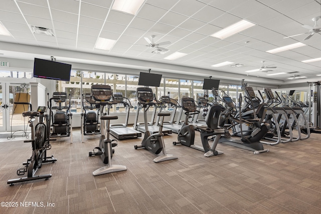 6105 Caladesi Ct, Jacksonville, FL 32258 - workout area featuring ceiling fan, carpet flooring, healthy amount of natural light, and a drop ceiling