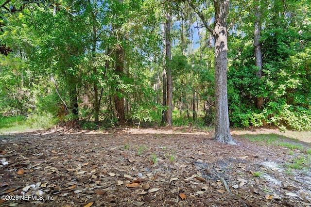 951 Scrub Jay Dr, Saint Augustine, FL 32092 - photo 26