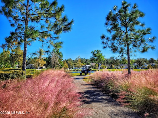 150 Calumet Dr, Saint Johns, FL 32259 - view of street