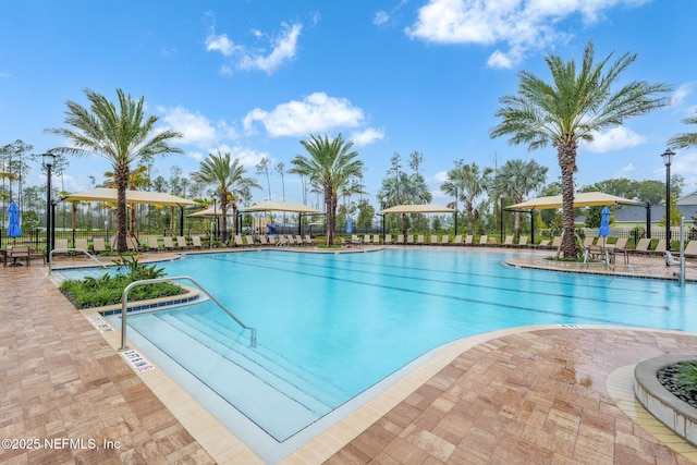 174 Torres Trce, Saint Augustine, FL 32095 - community pool with a patio area