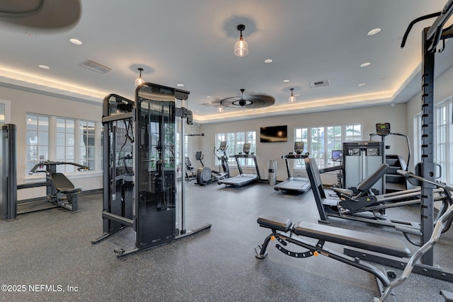 174 Torres Trce, Saint Augustine, FL 32095 - exercise room with a raised ceiling and recessed lighting