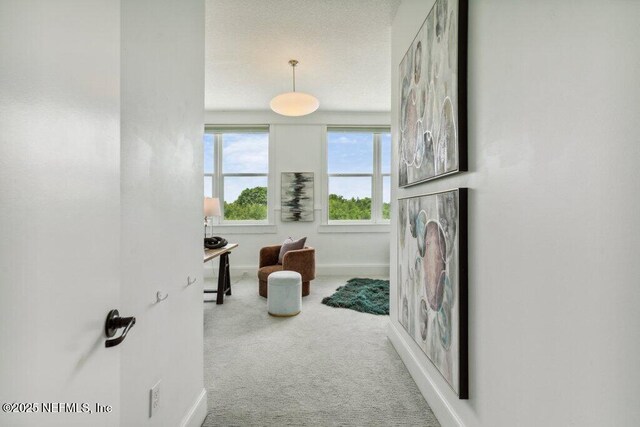 2525 College St Unit 2305, Jacksonville, FL 32204 - photo 12