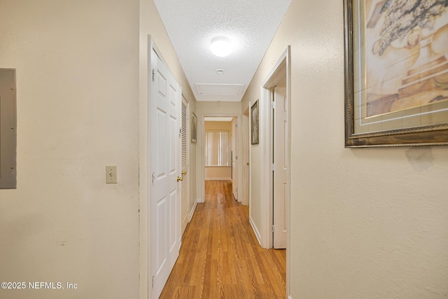 1863 W 6th St, Jacksonville, FL 32209 - photo 11