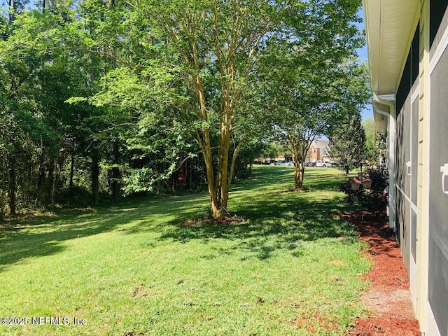 6967 Roundleaf Dr, Jacksonville, FL 32258 - view of green lawn