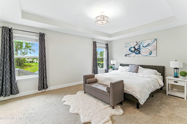 105 Meadow Creek Dr, Saint Johns, FL 32259 - carpeted bedroom with a raised ceiling and baseboards
