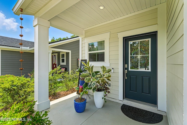 105 Meadow Creek Dr, Saint Johns, FL 32259 - view of exterior entry featuring a porch