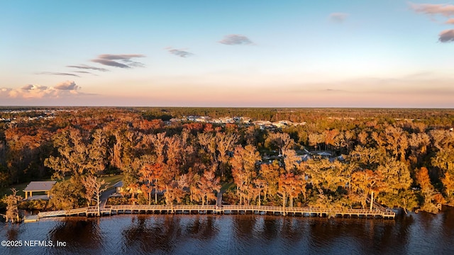 105 Meadow Creek Dr, Saint Johns, FL 32259 - aerial view at dusk of a water view and a forest view