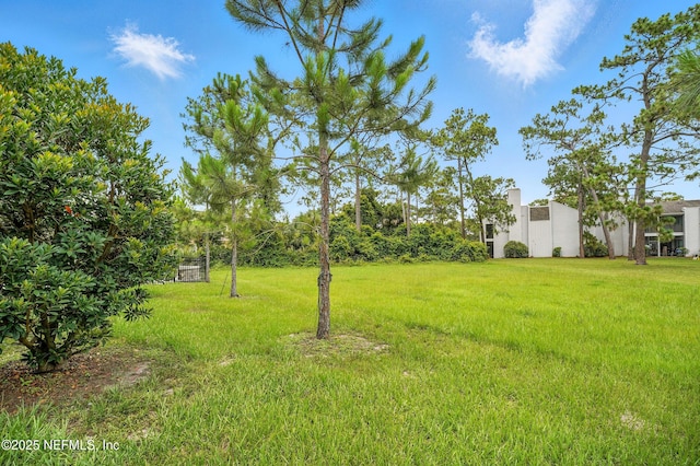9622 Baylin Ct, Jacksonville, FL 32256 - photo 23