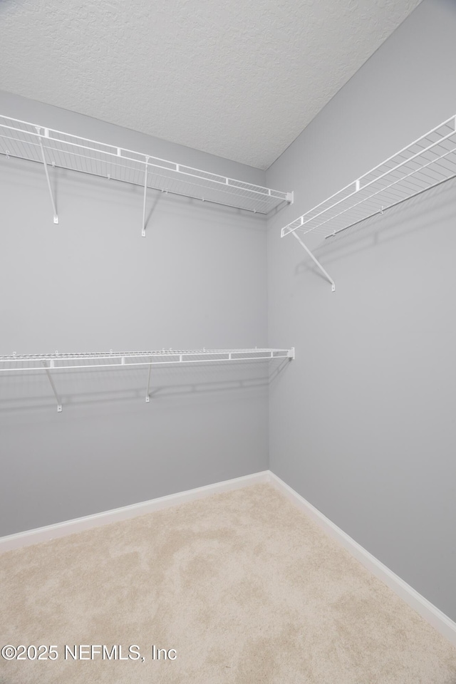 460 S Nassau St, Saint Augustine, FL 32084 - walk in closet featuring carpet
