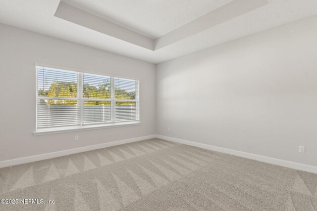 85448 Sandy Ridge Loop Unit 0049, Yulee, FL 32097 - unfurnished room with carpet floors and a tray ceiling