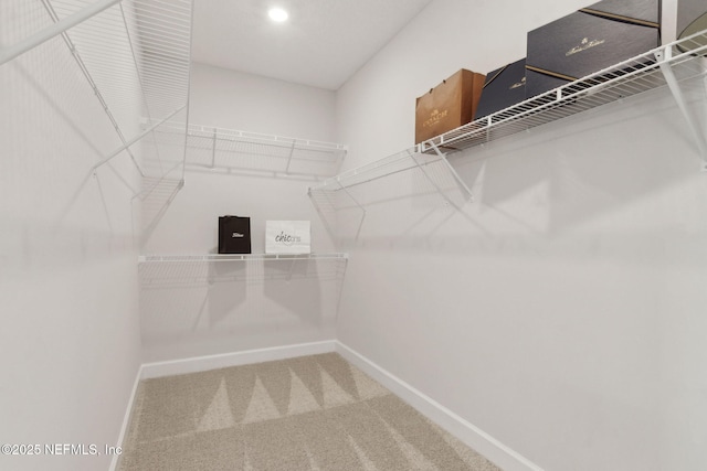 85448 Sandy Ridge Loop Unit 0049, Yulee, FL 32097 - walk in closet with carpet floors