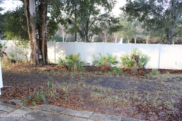 791 Assisi Ln Unit 302, Jacksonville, FL 32233 - view of yard