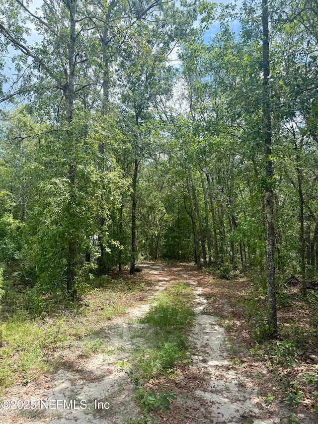 0 Indian Trl, Keystone Heights, FL 32656 - photo 4