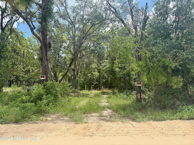 0 Indian Trl, Keystone Heights, FL 32656 - photo 1