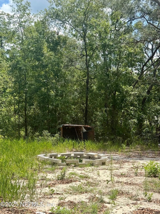 0 Indian Trl, Keystone Heights, FL 32656 - photo 6