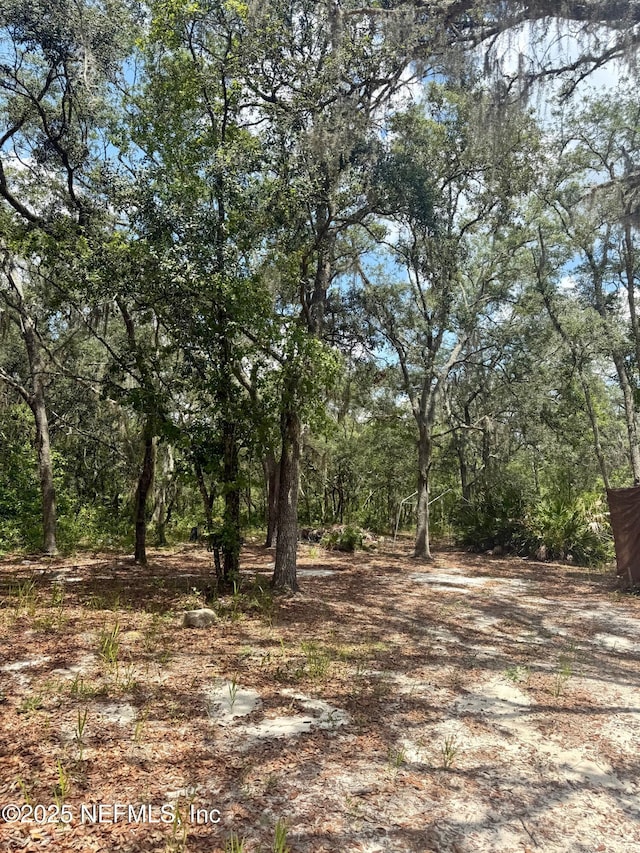 0 Indian Trl, Keystone Heights, FL 32656 - photo 5