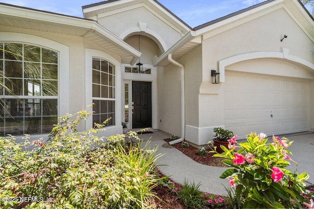 3530 Waterford Oaks Dr, Orange Park, FL 32065 - photo 5