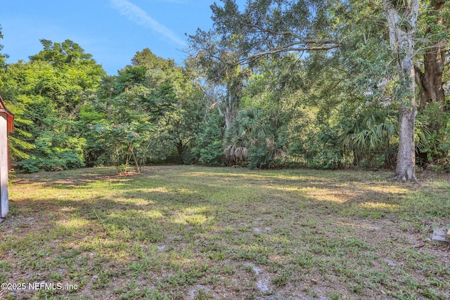 3822 Packard Dr, Jacksonville, FL 32246 - photo 27