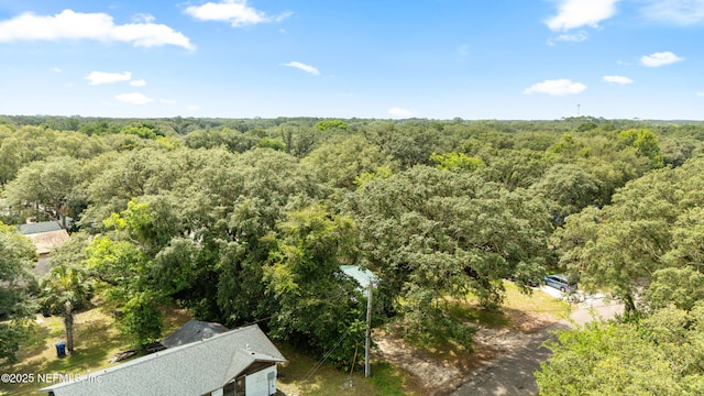 610 Division St, Fernandina Beach, FL 32034 - aerial view of a forest