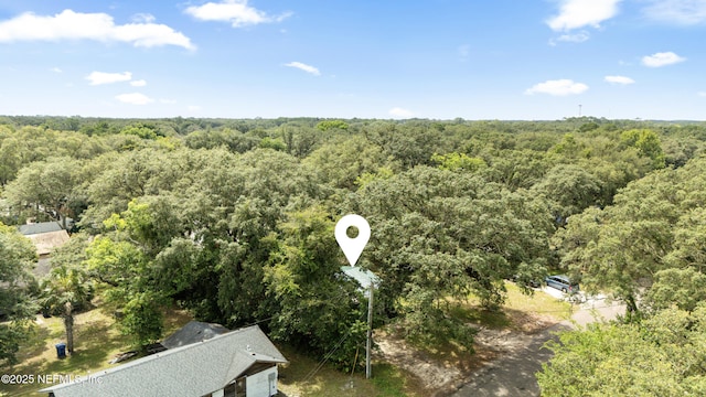 610 Division St, Fernandina Beach, FL 32034 - aerial view of a heavily wooded area
