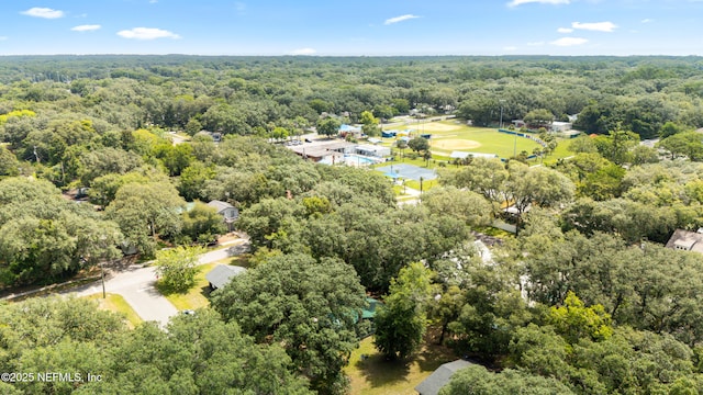 610 Division St, Fernandina Beach, FL 32034 - bird's eye view of a heavily wooded area