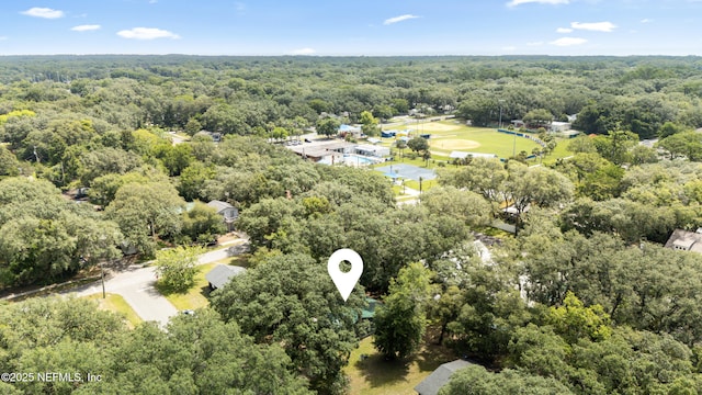 610 Division St, Fernandina Beach, FL 32034 - bird's eye view of a forest