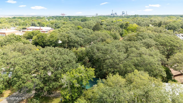 610 Division St, Fernandina Beach, FL 32034 - aerial view of a forest