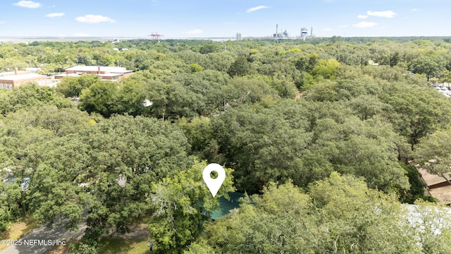 610 Division St, Fernandina Beach, FL 32034 - bird's eye view of a forest