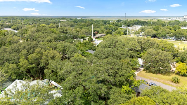 610 Division St, Fernandina Beach, FL 32034 - bird's eye view of a heavily wooded area