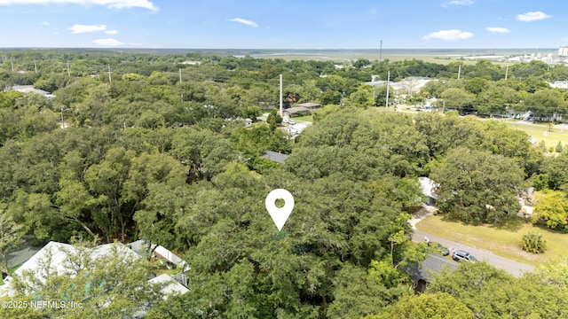 610 Division St, Fernandina Beach, FL 32034 - aerial view of property's location with a forest