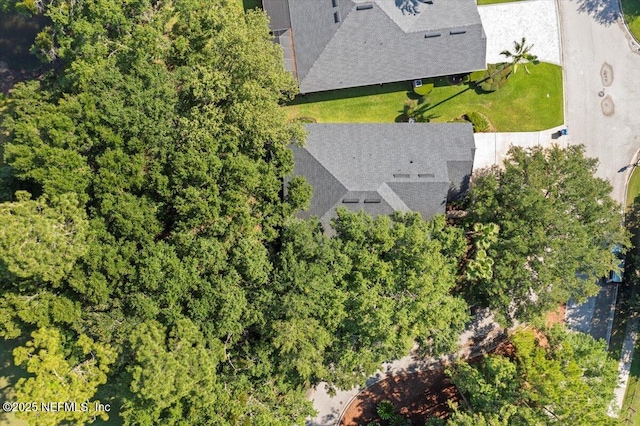 85339 Amagansett Dr, Fernandina Beach, FL 32034 - bird's eye view