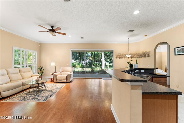 85339 Amagansett Dr, Fernandina Beach, FL 32034 - living room with arched walkways, ceiling fan, wood finished floors, a textured ceiling, and plenty of natural light