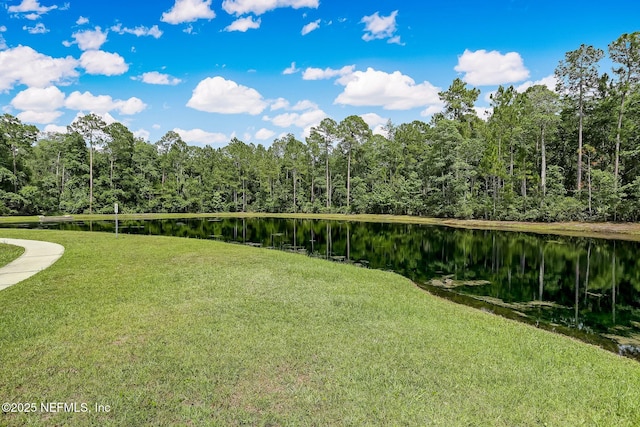 86051 Venetian Ave, Yulee, FL 32097 - view of grassy yard featuring a wooded view and a water view