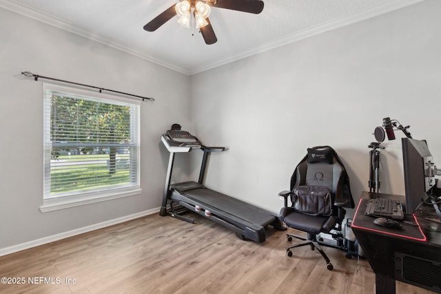 86051 Venetian Ave, Yulee, FL 32097 - workout room featuring a ceiling fan, wood finished floors, and ornamental molding