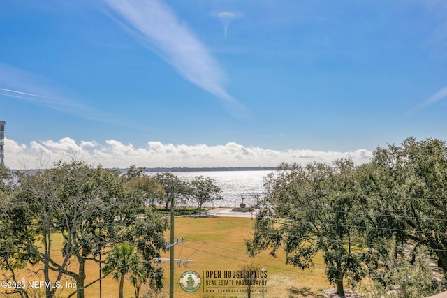 1661 Riverside Ave Unit 303, Jacksonville, FL 32204 - photo 22