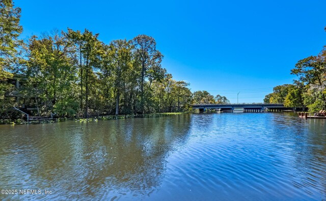 8849 Pallazzo Ter, Jacksonville, FL 32217 - photo 38