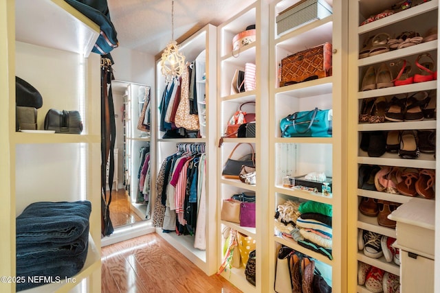 1630 Highland View Ct, Fleming Island, FL 32003 - walk in closet with wood finished floors