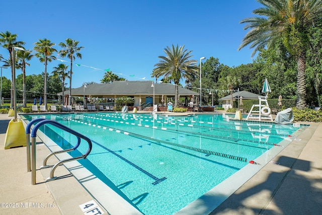 1630 Highland View Ct, Fleming Island, FL 32003 - view of community pool