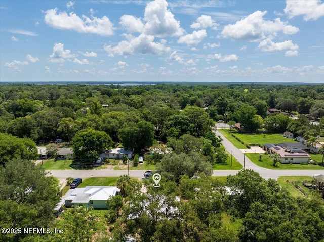 1622 Roselle Ave, Palatka, FL 32177 - aerial view of a forest