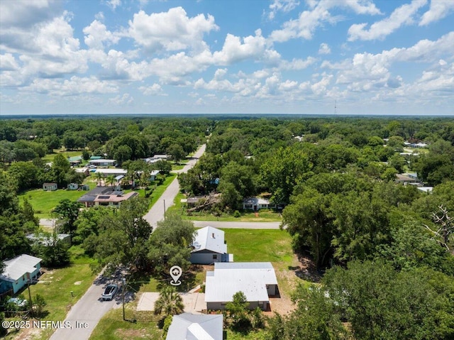 1622 Roselle Ave, Palatka, FL 32177 - drone / aerial view of a forest