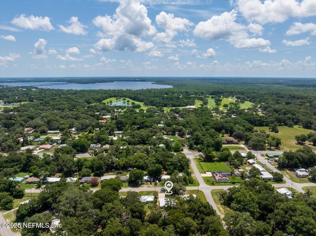 1622 Roselle Ave, Palatka, FL 32177 - drone / aerial view of a nearby body of water and a forest