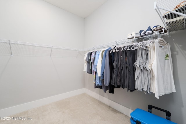 40 Blue Hampton Dr, Ponte Vedra, FL 32081 - photo 24