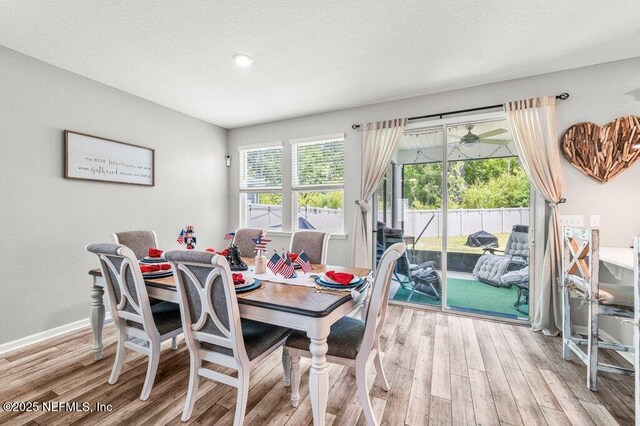 3283 Loblolly Pine Ct, Middleburg, FL 32068 - dining space featuring wood finished floors and a textured ceiling