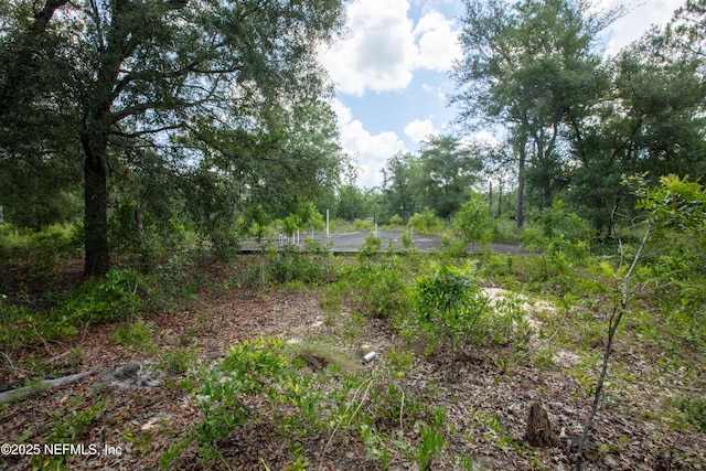 6015 Oak Leaf Rd, Keystone Heights, FL 32656