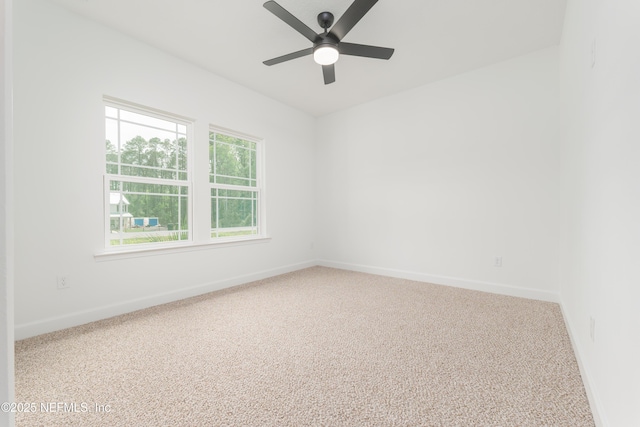99 Sorrel St, Middleburg, FL 32068 - photo 19