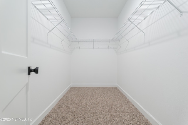 99 Sorrel St, Middleburg, FL 32068 - photo 22