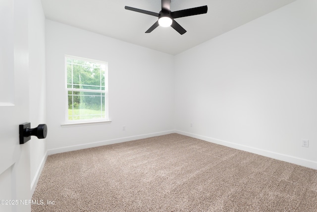 105 Sorrel St, Middleburg, FL 32068 - photo 13