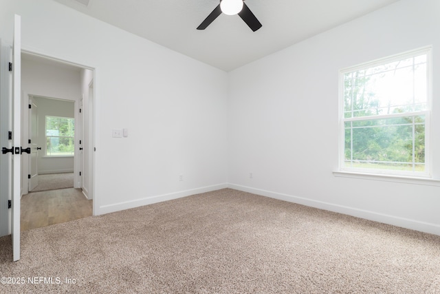 105 Sorrel St, Middleburg, FL 32068 - photo 18