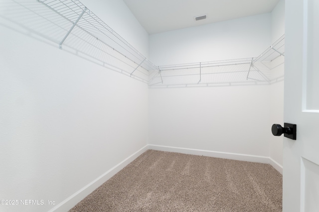 105 Sorrel St, Middleburg, FL 32068 - photo 19