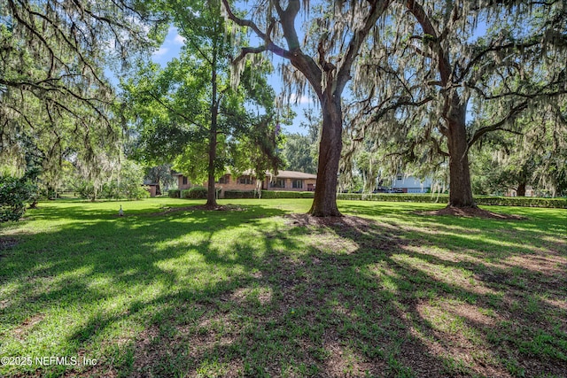 17995 Lem Turner Rd, Jacksonville, FL 32218 - photo 3
